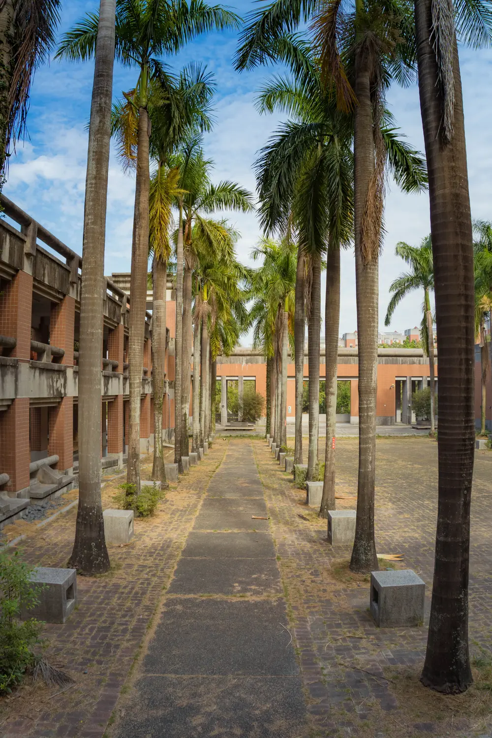 Chung Cheng University - Taiwan Photography